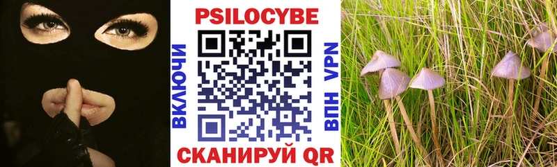 Галлюциногенные грибы MAGIC MUSHROOMS Томари